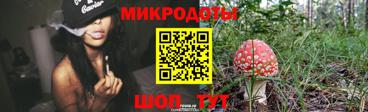 Галлюциногенные грибы Cubensis Бийск